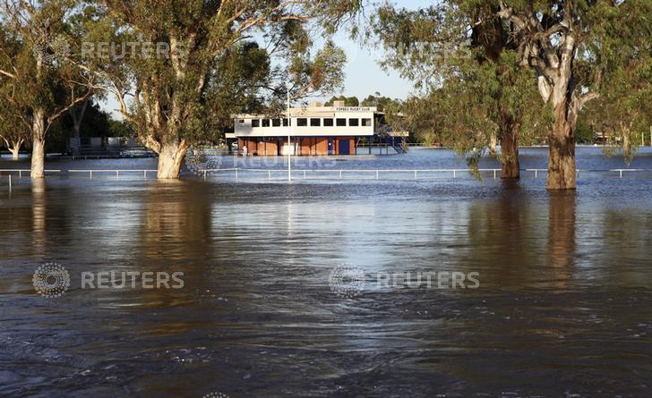 About 50,000 residents in New South Wales, most in Sydney's western suburbs, have been told to either evacuate or warned they might receive evacuation orders/Reuters.