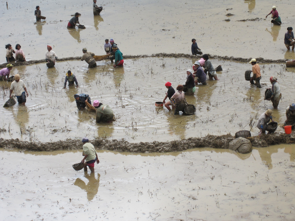 Bad quality of water in Madagascar/Agencies.