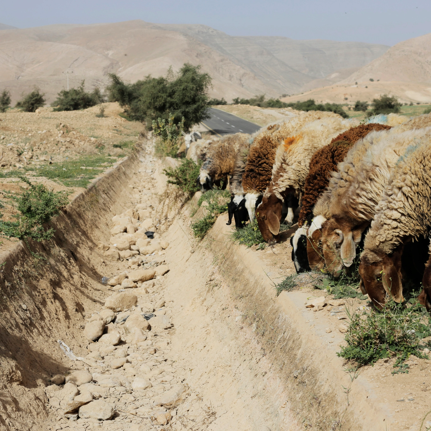 Water levels in the Tigris and Euphrates rivers are decreasing/Aljazeera.