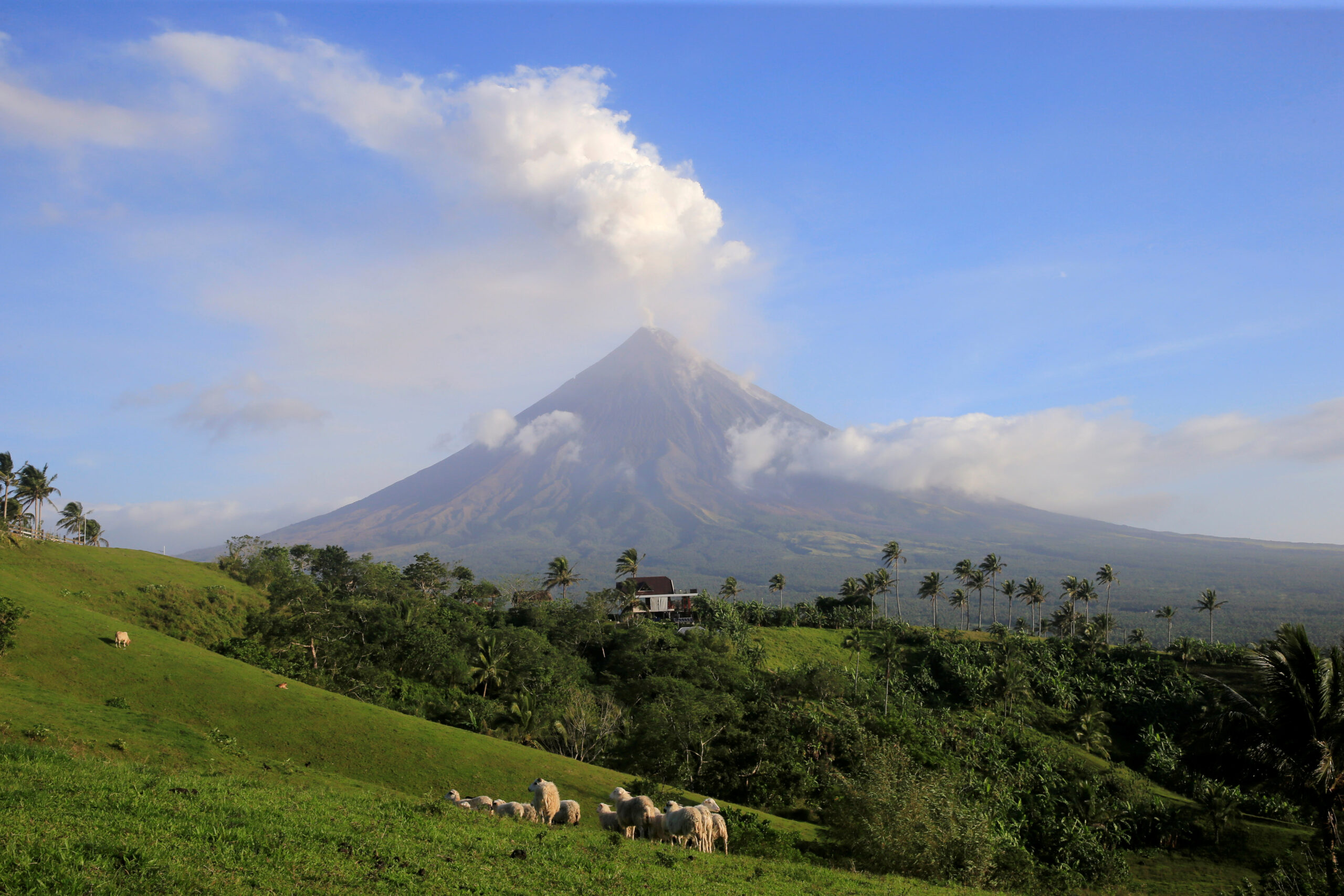 Thousands remained within the permanent danger zone below Mayon/Reuters.