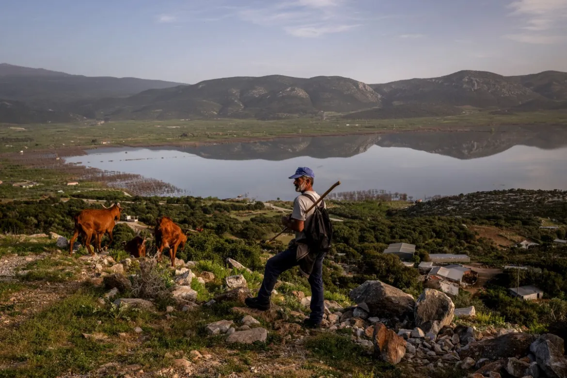 A shepherd stands near the newly formed Lake Karla, which used to be farmland, after the region was flooded last September near the village of Kanalia. [Angelos Tzortzinis/AFP]<br />   