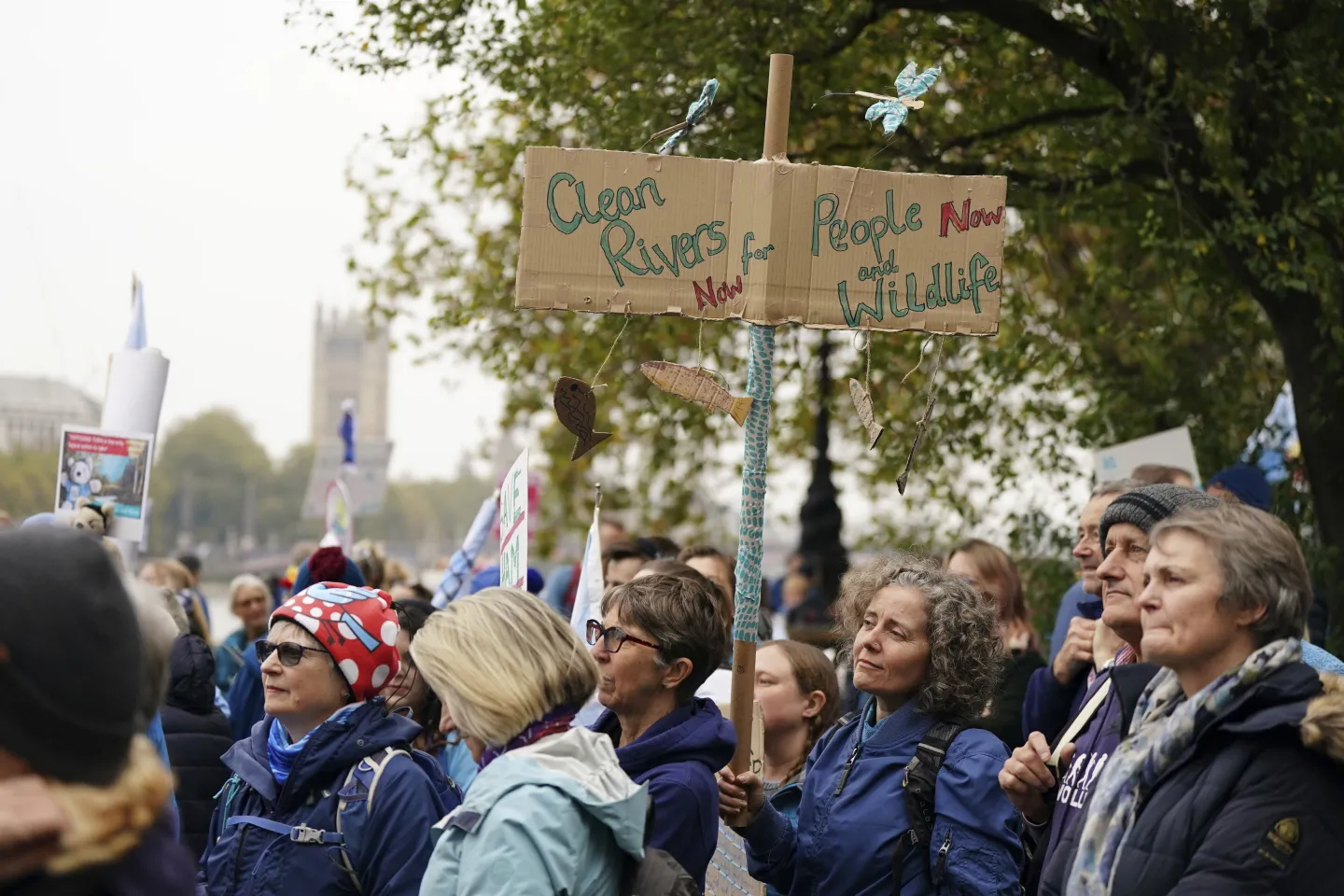 Estimated that 15,000 people took part in the march along the River Thames to Parliament, many wearing blue and waving blue flags to form a “human river.”/AP