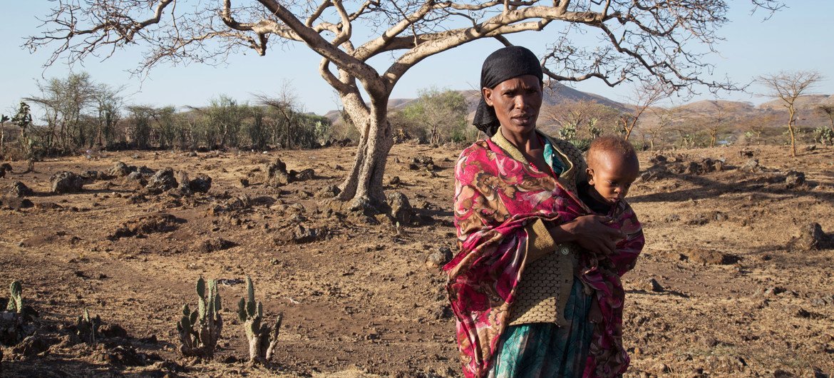 OCHA/Charlotte Cans The El Niño-induced drought in Ziway Dugda, Oromia region of Ethiopia, is affecting every family and they don't have enough food at home to feed themselves.